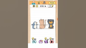 Brain Test Level 36  solution where is the cat above this text