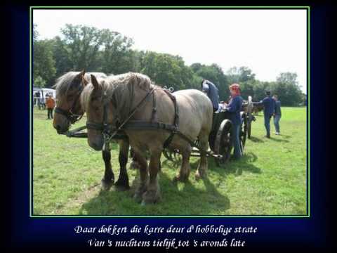 Yasmine - Zeven Dagen Yasmine - Zeven Dagen