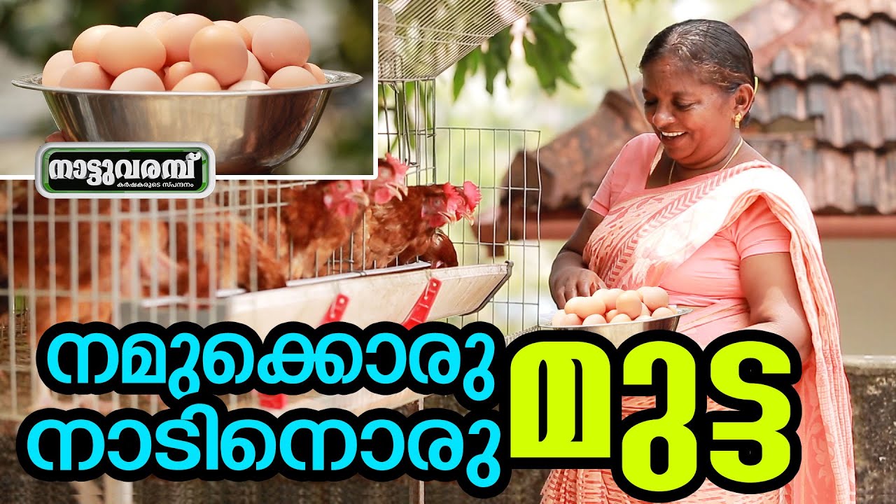 നമുക്കൊരു മുട്ട നാടിനൊരു മുട്ട | BV 380 | FARMING | SAMAGRA  | TVM  | NATTUVARAMBU |  JANAM TV