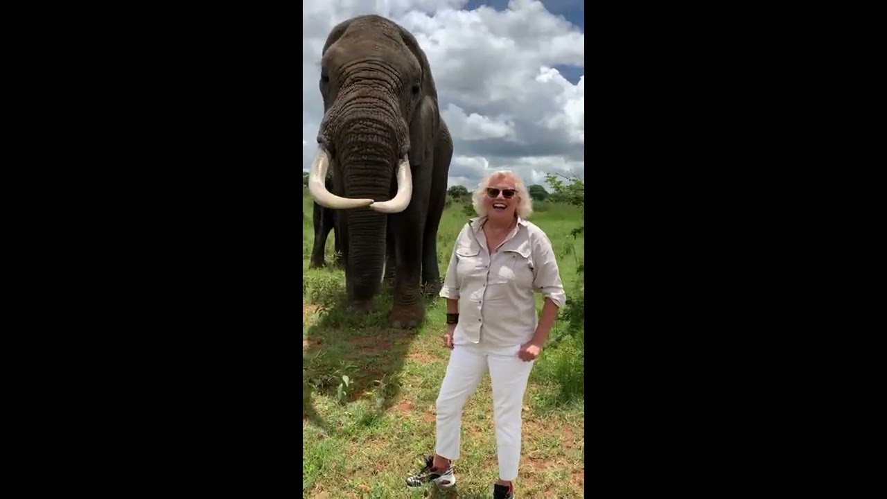 Hilarious Elephant Pulls Prank On WorldElephantDay 