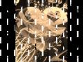 جرح الصداقة Wmv 