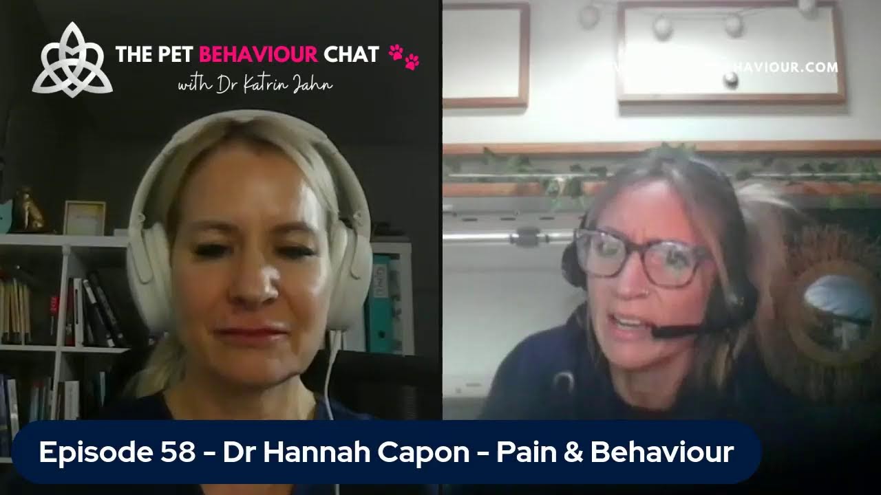 Episode 58 - Dr Hannah Capon Pain and Behaviour