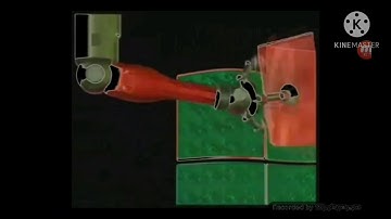 Windows Server 2003 in G Major 4