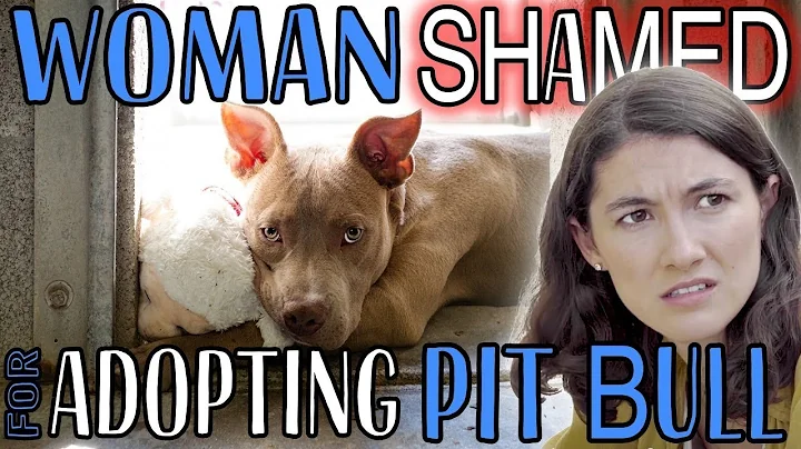 Woman SHAMED for Adopting a Pit Bull! - DayDayNews