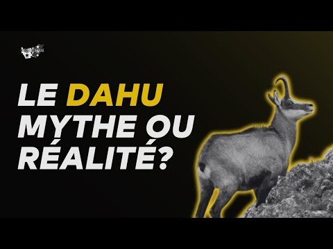 Avez-vous déjà vu un dahu?