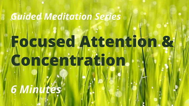 Short Meditation For Concentration In The Morning