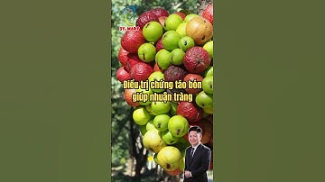 9 Lợi Ích Bất Ngờ Từ Quả Sung – Càng Ăn Càng Khỏe!