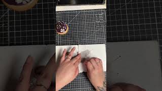 DIY Insect Pinning | Let’s Pin a Real Cecropia Moth #insects #bugs #oddities #artist News