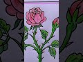 #phool ..