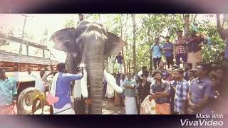 Pampadi Rajan (ponnunni poonkarale)