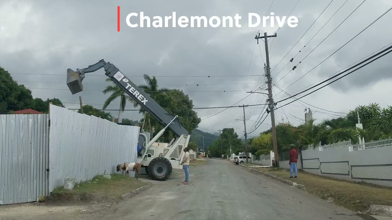 Drive through Hope Pastures | Jamaica