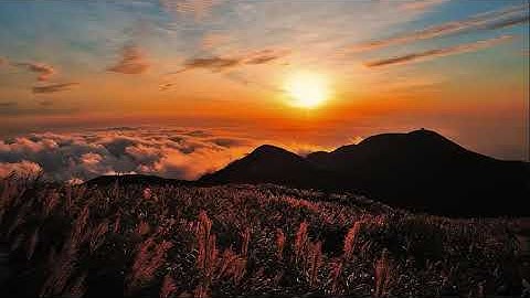 أجمل تلاوه لسورة يوسف، رقق قلبك و طيب مسامعك