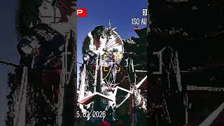 Instax Mini Evo Cinema Funziona?