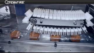 VT-160 packaging machine