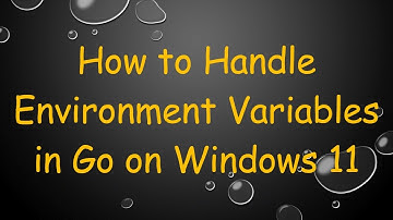 How to Handle Environment Variables in Go on Windows 11