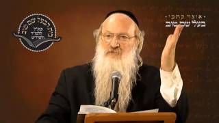 פרשת קרח | פרשת השבוע | הרב סטבסקי | בית הבעל שם טוב