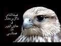 شيلة الحناتيش البقوم شيلة الحناتيش البقوم