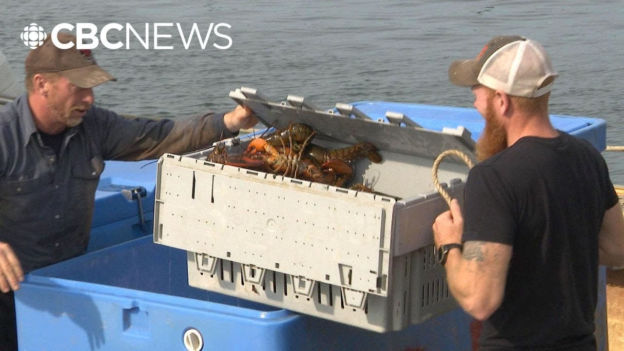 Seafood producers looking for stability in face of announced tariffs from China