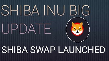 How to use shiba swap