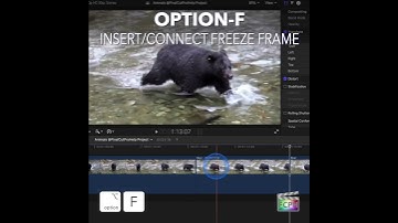 Final Cut Pro Shortcut | Option-F | Insert/Connect Freeze Frame