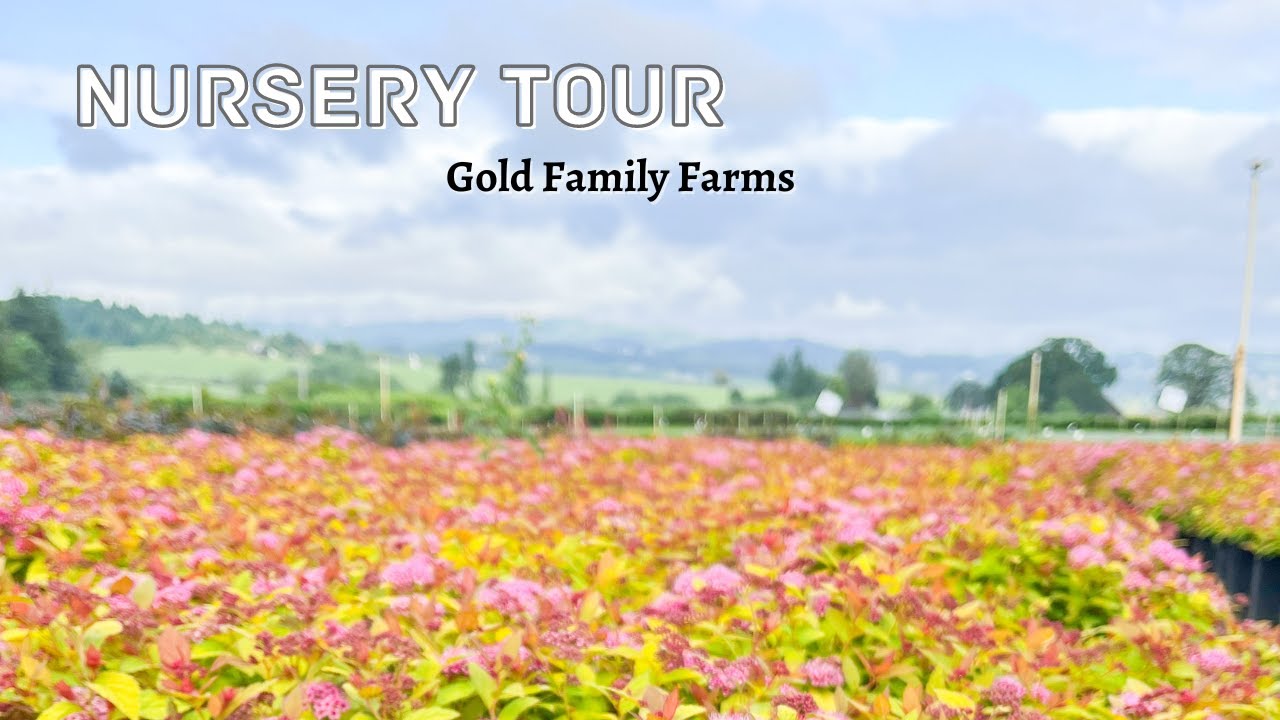 Gold Family Farms Nursery Tour