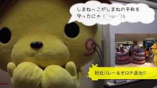 しまねっこにゅーす 2013/11/15 しまねっこにゅーす 2013/11/15