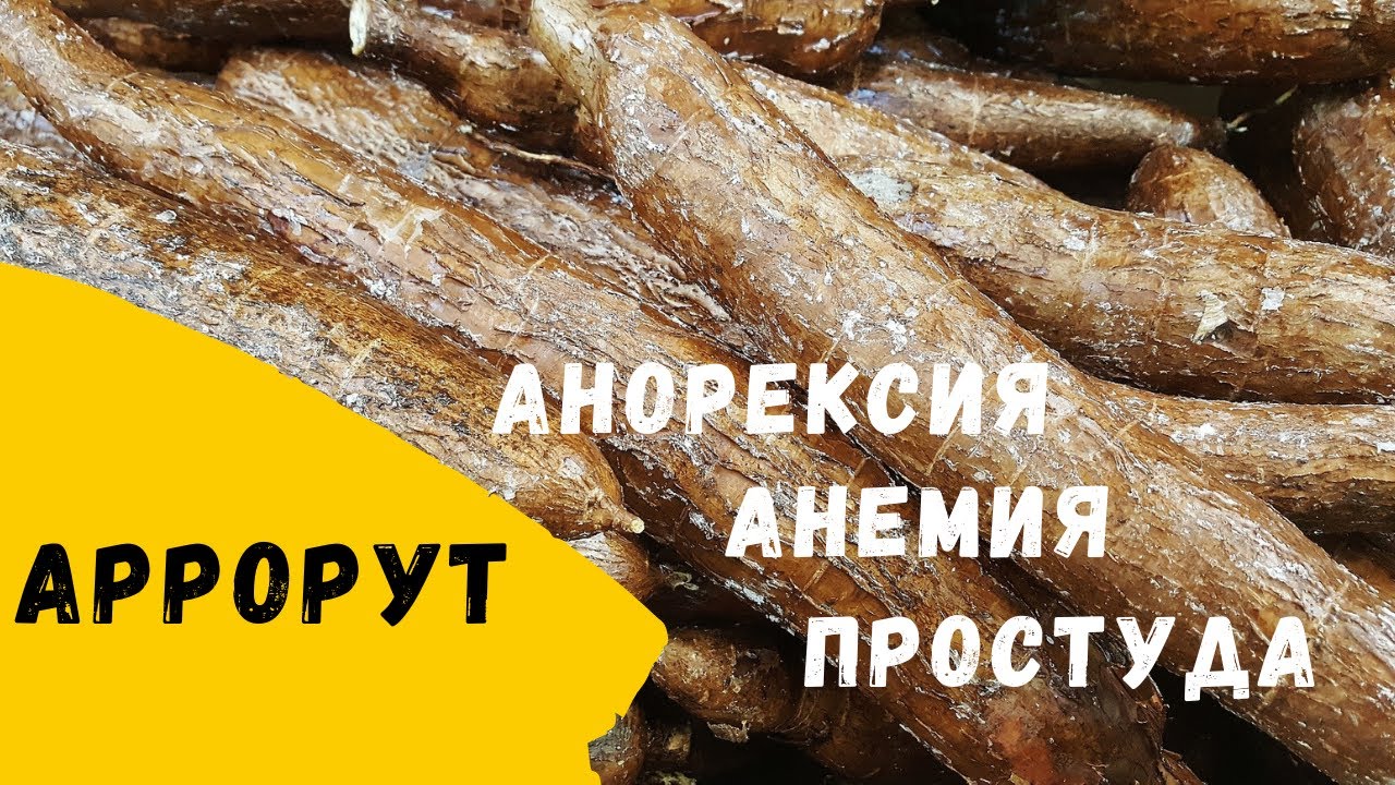 Аррорут Анорексия Анемия Простуда