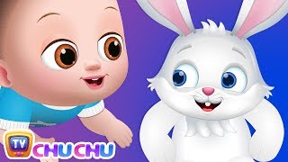 குட்டி முயலே பாடல் (Kutty Muyale Rabbit Song) - ChuChu TV Tamil Rhymes for Kids