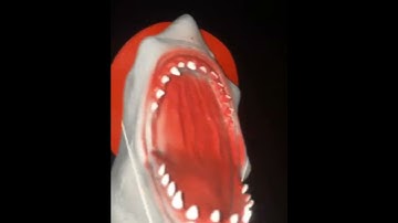 SHARK PUPPET 4TH OF JULY!!!!!