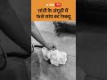 Snake Viral Video : चांदी के अंगूठी में फंसे सांप का रेस्क्यू | ABP GANGA SHORTS