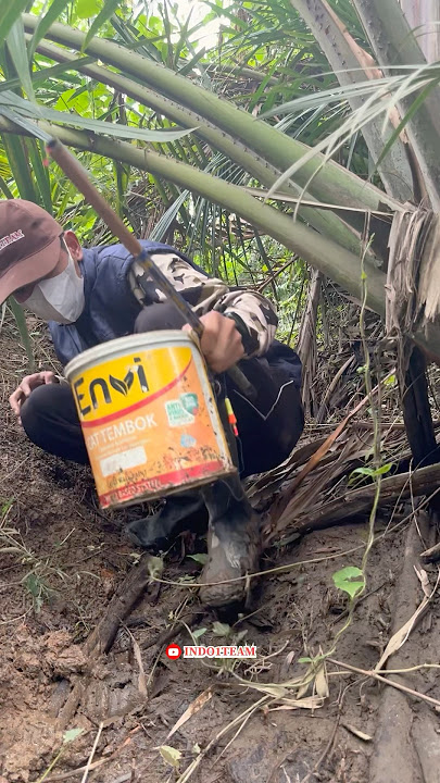 I swear I was really reckless fishing in the bushes and got an unexpected fish strike🤤