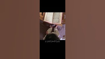 وَإِذا قُرِئَ الْقُرْآنُ فَاسْتَمِعُوا لَهُ ||تلاوة خاشعة بصوت الشيخ ماهر المعيقلي 💗🌿