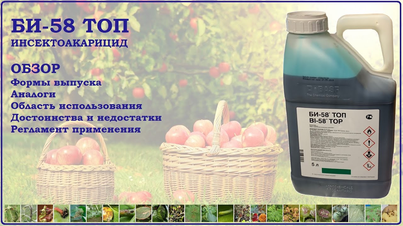 Би58 - мощный инсектоакарицид широкого спектра действия. Достоинства и ...