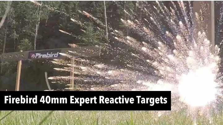 Firebird 40mm Expert Target - See it in action!