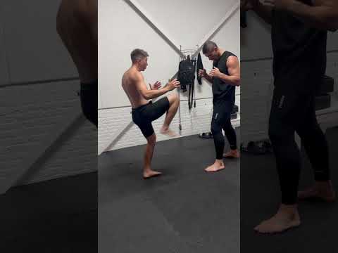 شاهد حتى النهاية هل ريكو فيرهوفن هو المبتدئ