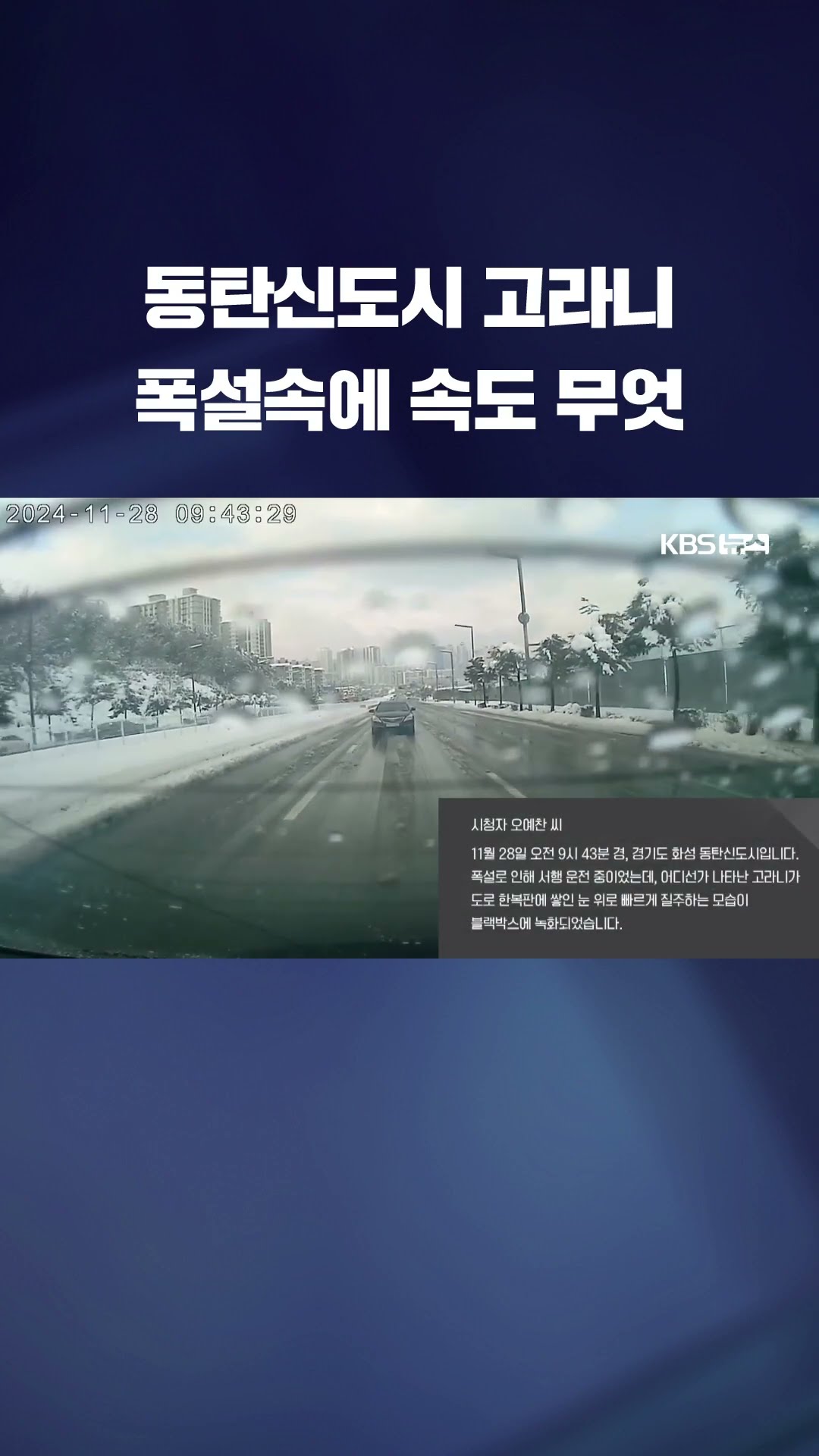 동탄신도시 고라니 폭설속에 속도 무엇 #shorts / KBS