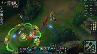 Asol bug