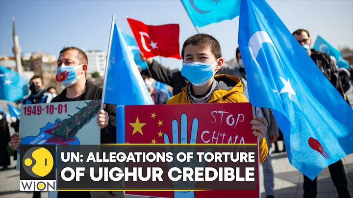 UN releases long-awaited report on Uighur; China 'firmly opposed' to UN assessment | WION - DayDayNews