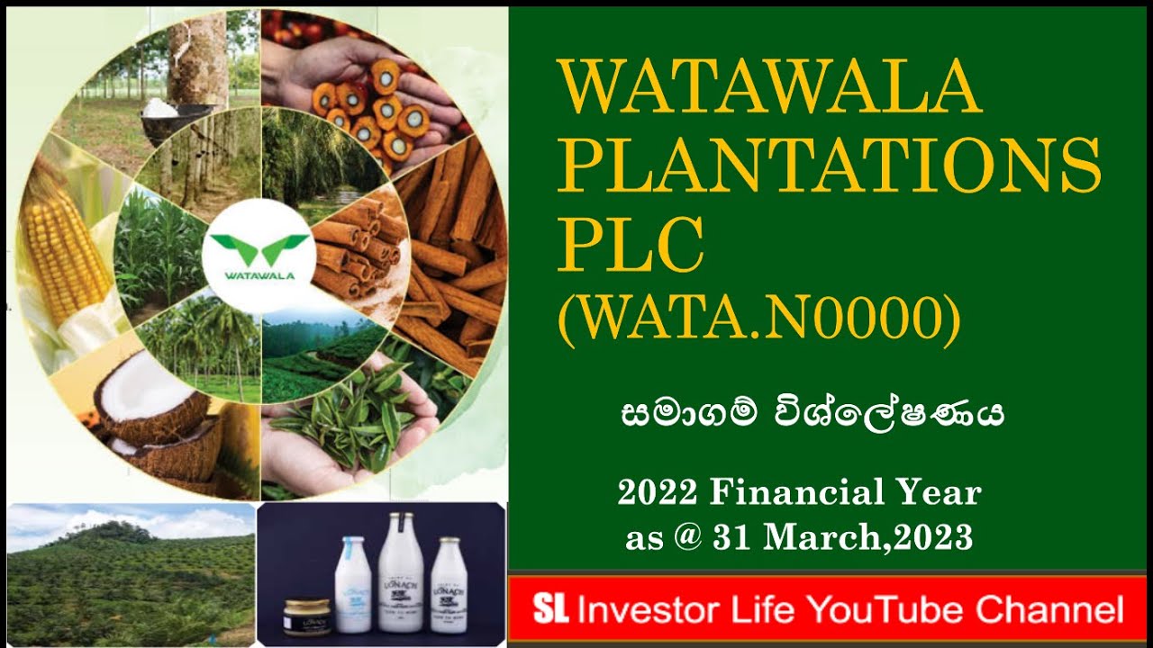 WATAWALA PLANTATIONS PLC WATA 2022 FY YouTube watawala-plantations-plc-wata-2022-fy-youtube