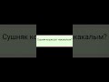 30 марта 2024 г.