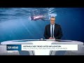 LEBENSGEFAHR FÜR LIKES: Dieser Hai-Trend schockiert das Netz!