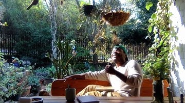 What If Every Decision Creates a New Universe?