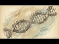 DNA Replication — How Your Cells Copy Their Blueprint
