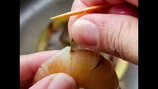 Cara Siang & Bersihkan Udang Cara Saya | Tanpa Kopek kulit