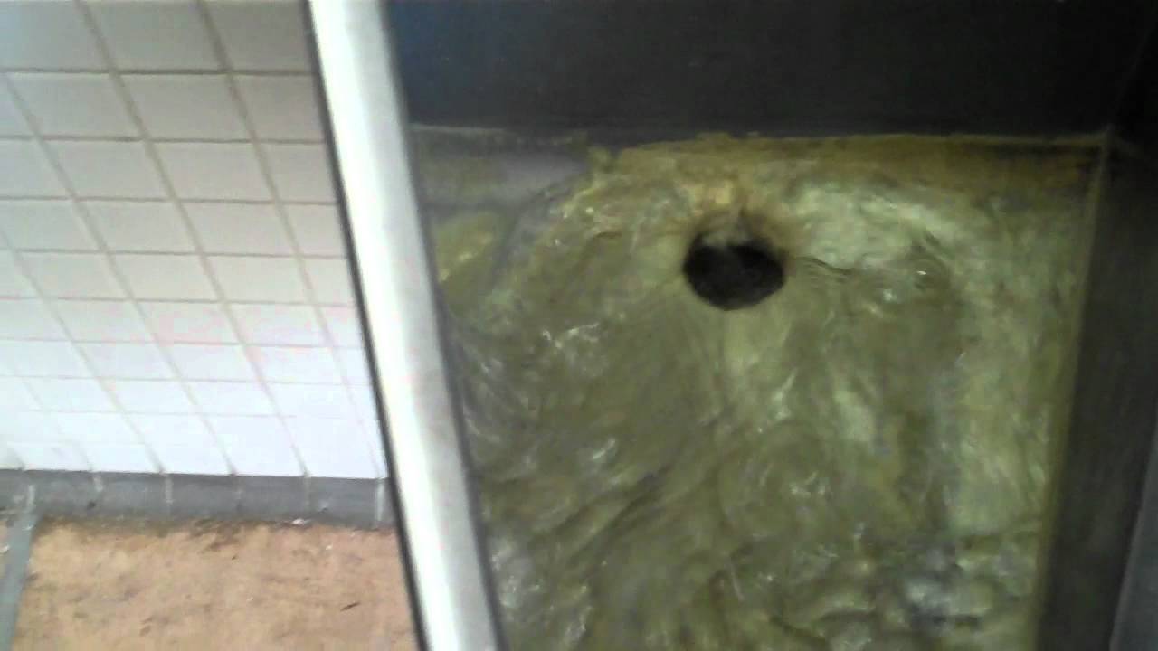 2587 Back Spud Acorn ReplaceWare Straddle Stainless Steel Blowout