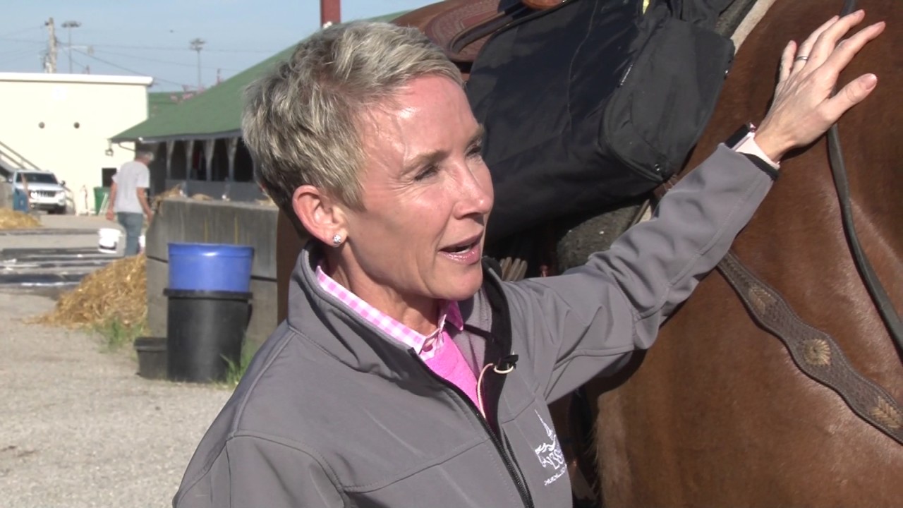 Have You Ever Wondered Donna Brothers YouTube