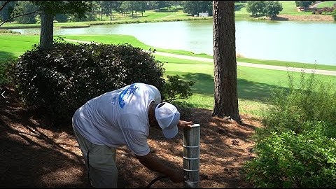 How to Clean and Recharge your Pentair Quad DE Filter