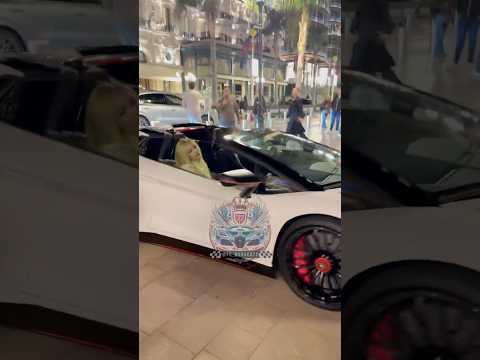 Tropicana room 3117 part 1 #casino #atlanticcity (first room out of 3 rooms) #tropicana