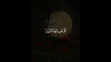 تلاوه خاشعه تقشعر منها الابدان بصوت عبدالرحمن مسعد #quran #اكسبلور #قران_كريم #كل_نفس_ذائقه_الموت