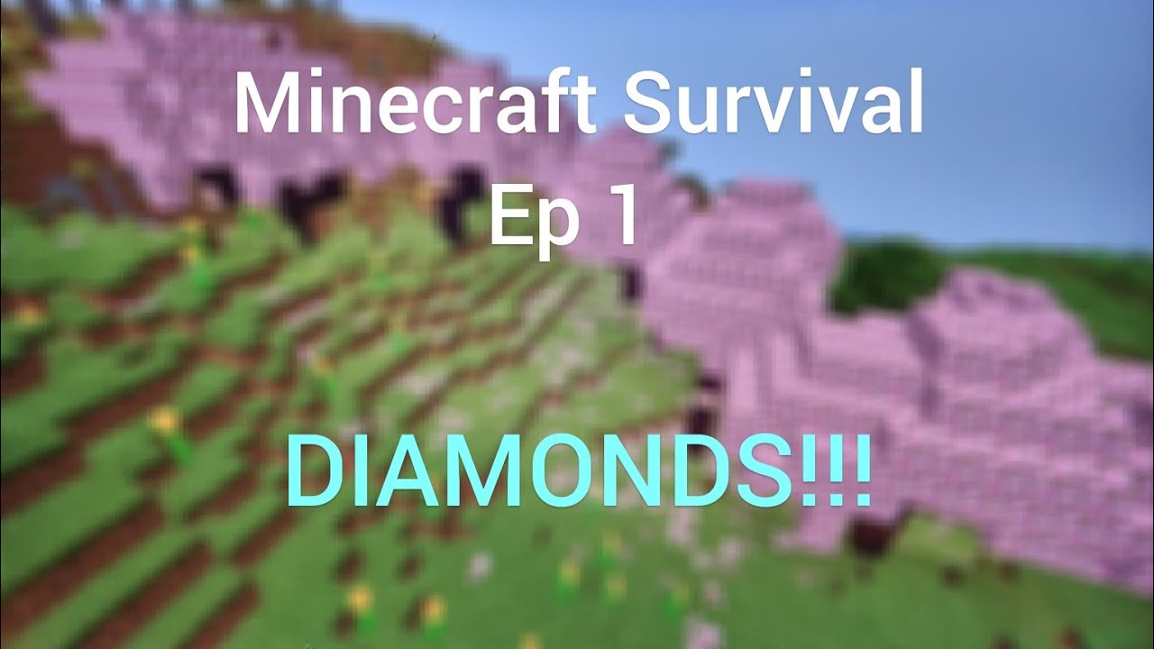 Survival Minecraft [Ep 1] : DIAMONDS ON DAY ONE!!! - YouTube